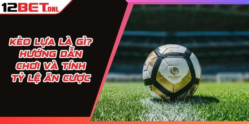 Kèo Lựa Là Gì? Hướng Dẫn Chơi Và Tính Tỷ Lệ Ăn Cược 16 Kèo Lựa Là Gì
