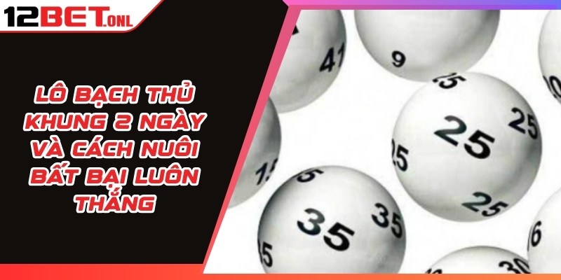 Lô Bạch Thủ Khung 2 Ngày Và Cách Nuôi Bất Bại Luôn Thắng 15 Lô Bạch Thủ Khung 2 Ngày
